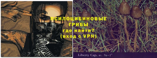 PSILOCYBIN Абаза