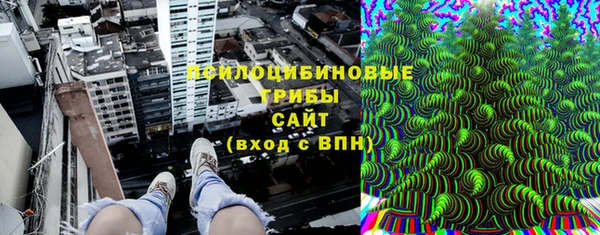 PSILOCYBIN Абаза