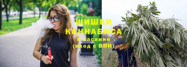 PSILOCYBIN Абаза